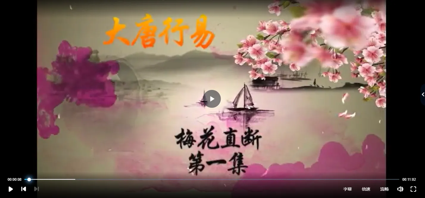 唐友权-梅花预测：梅花精断（视频36集）_易经玄学资料网