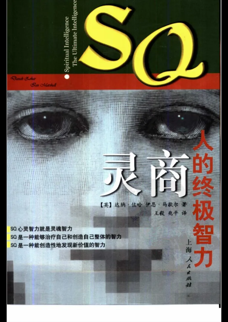 灵商《人的终极智力》达纳·佐哈 伊恩·马歇尔著 PDF电子书（378页）_易经玄学资料网