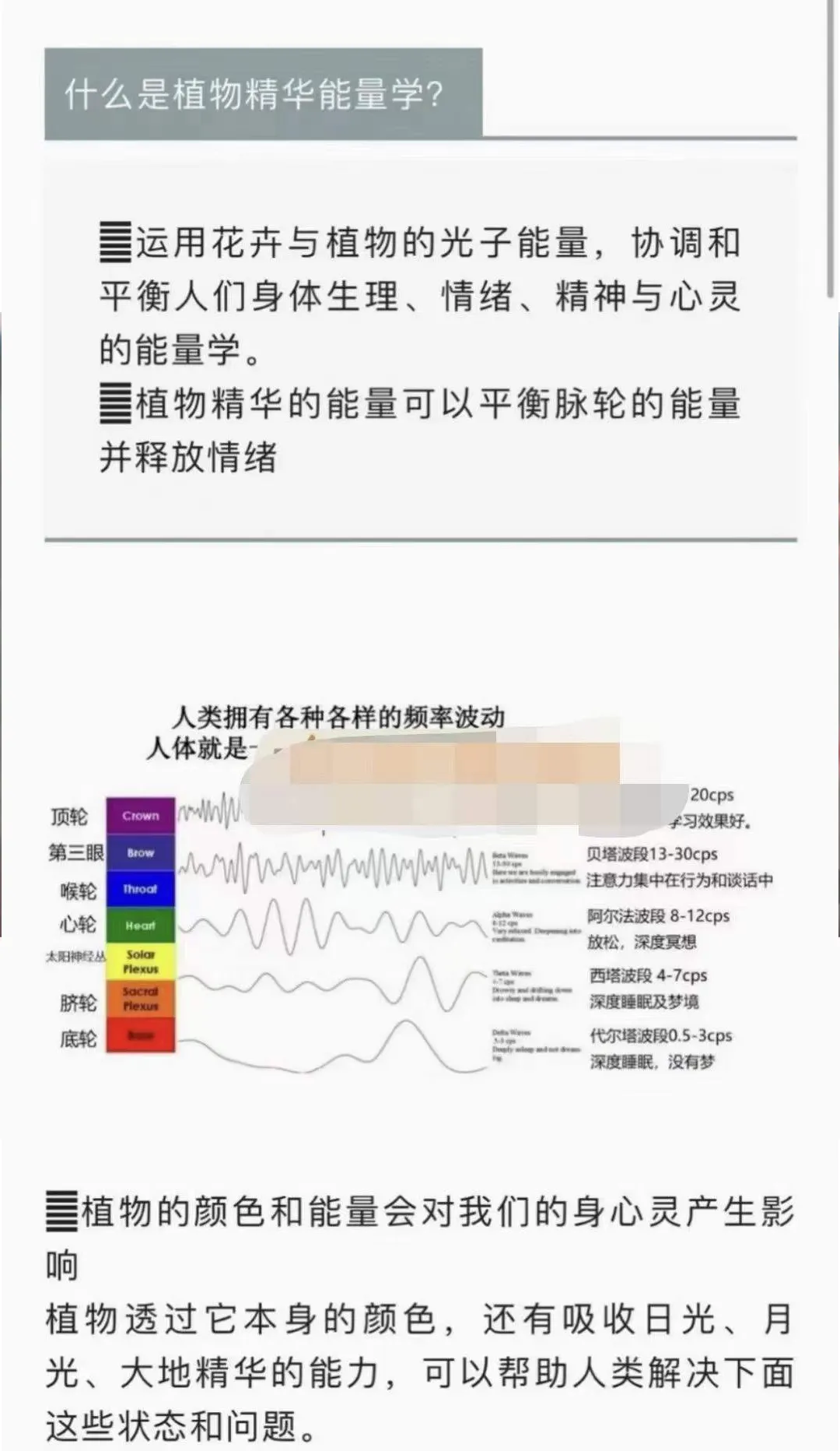 图片[2]_植物精华能量学初级工作坊2022年8月（视频10集）_易经玄学资料网