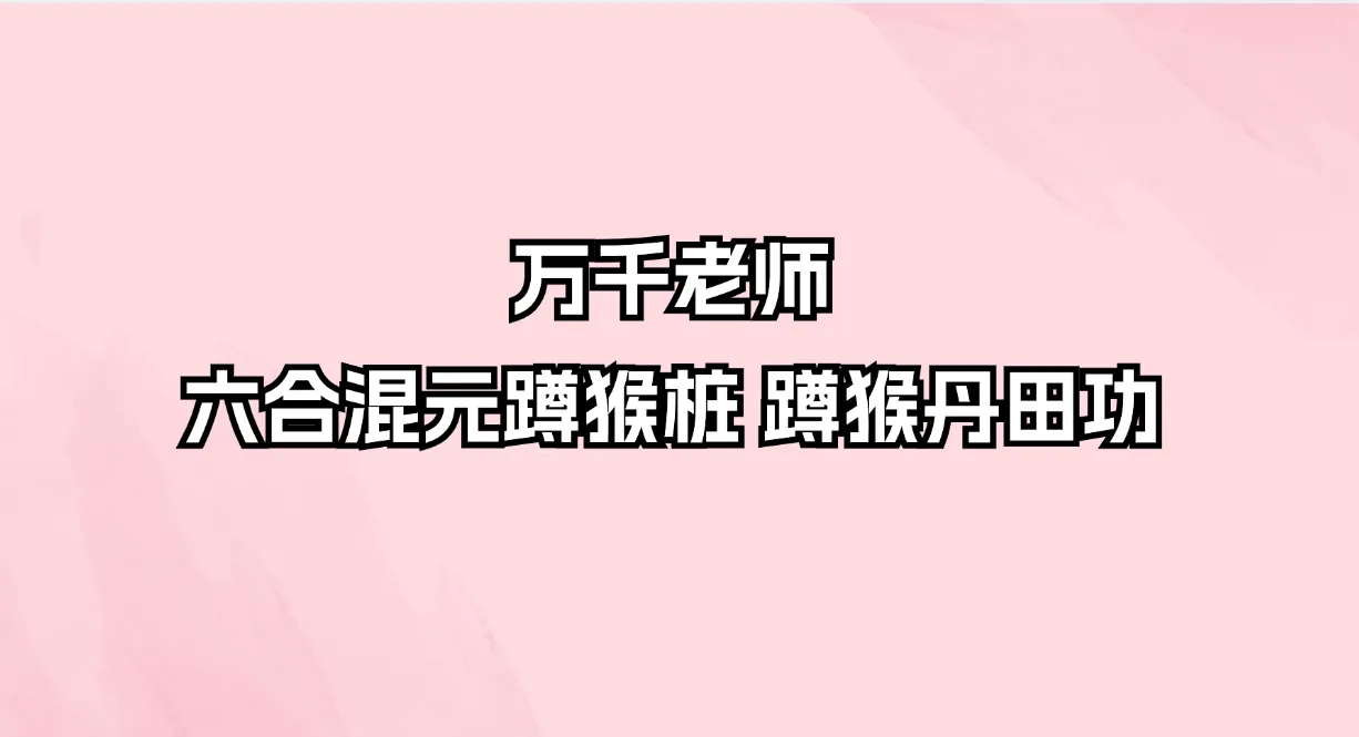 万千老师-六合混元蹲猴桩 蹲猴丹田功（视频8集）_易经玄学资料网