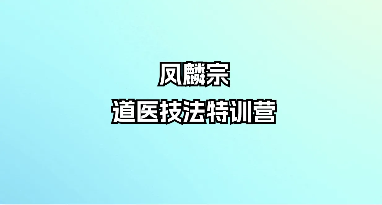 凤麟宗-道医技法特训营（音频+讲义）_易经玄学资料网