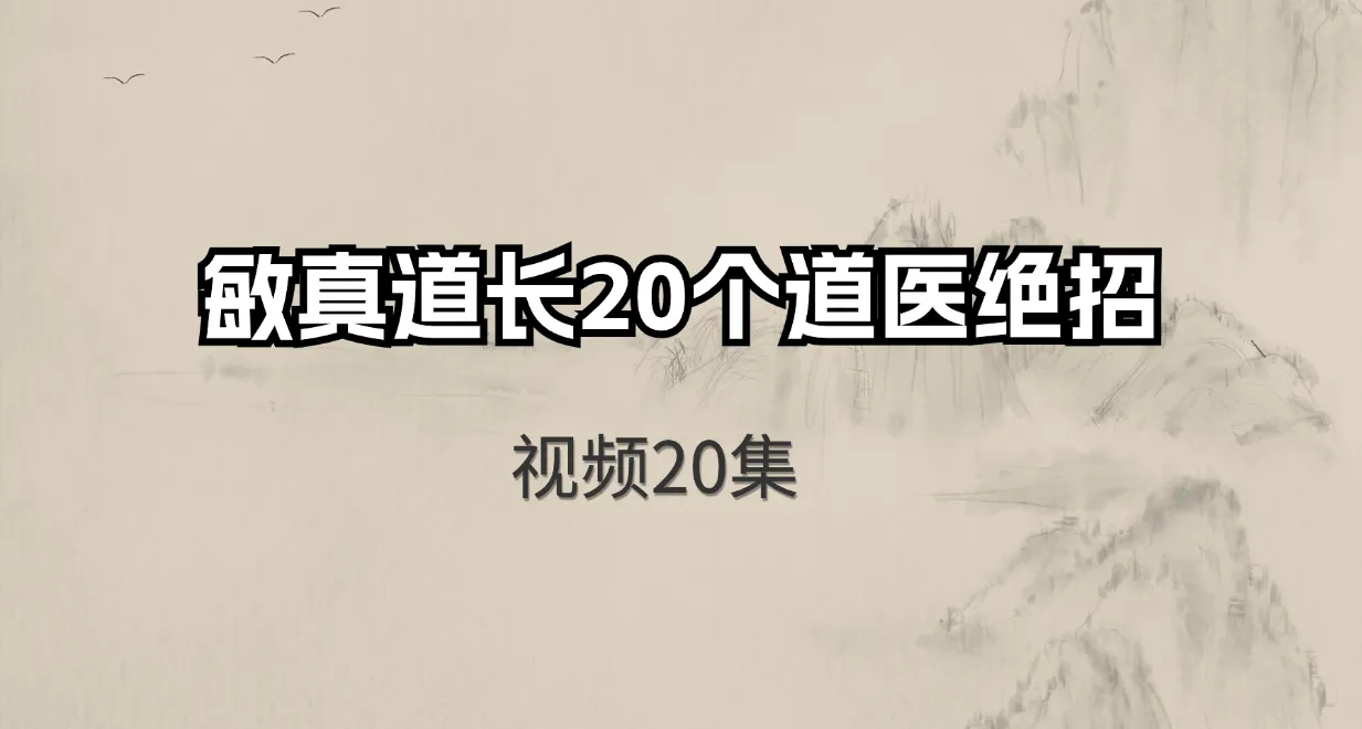 敏真道长20个道医绝招（视频20集）_易经玄学资料网