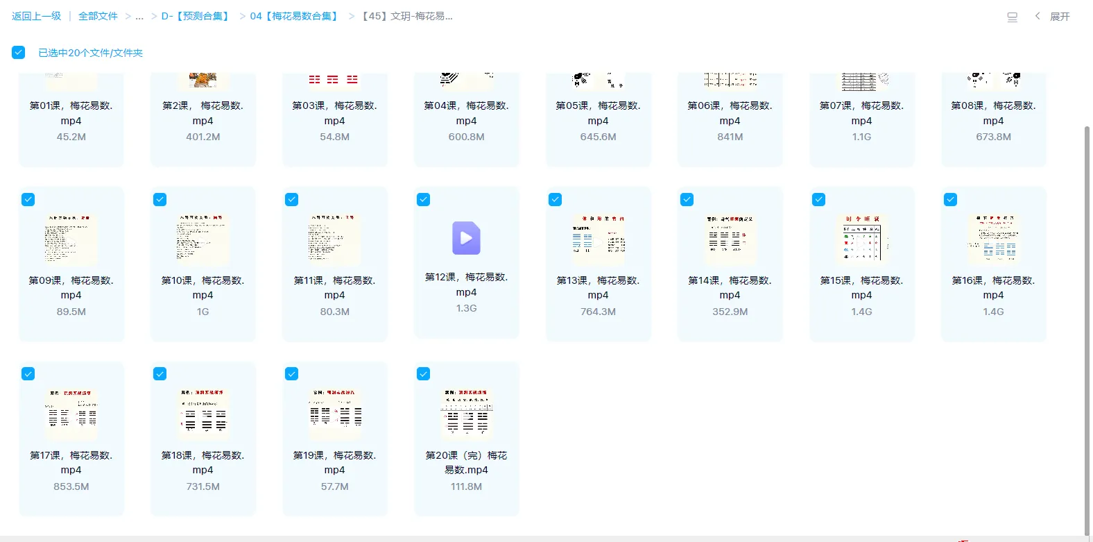 图片[1]_文玥-梅花易数课程（视频20集）_易经玄学资料网