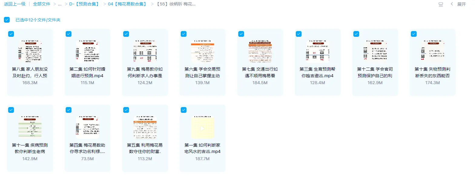 图片[1]_徐炳昕-梅花易数中级班（视频12集）_易经玄学资料网