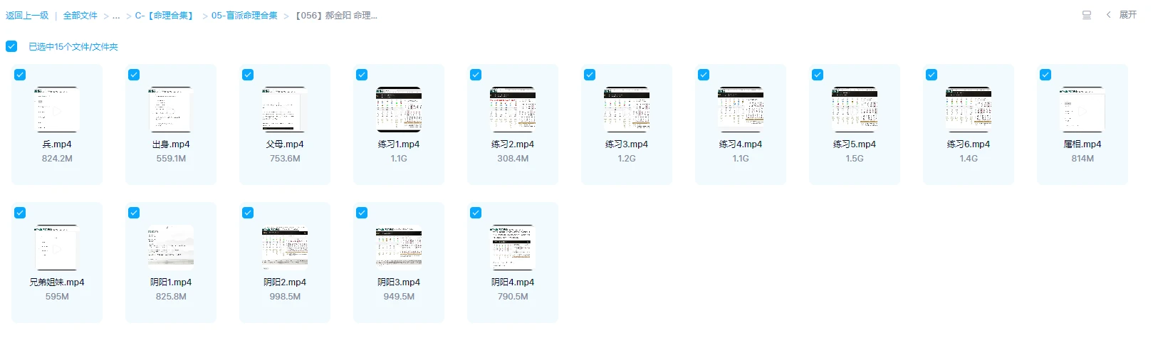 图片[1]_郝金阳 命理传承 2022冬郝金阳徒弟郝传明壬寅冬（视频15集）_易经玄学资料网