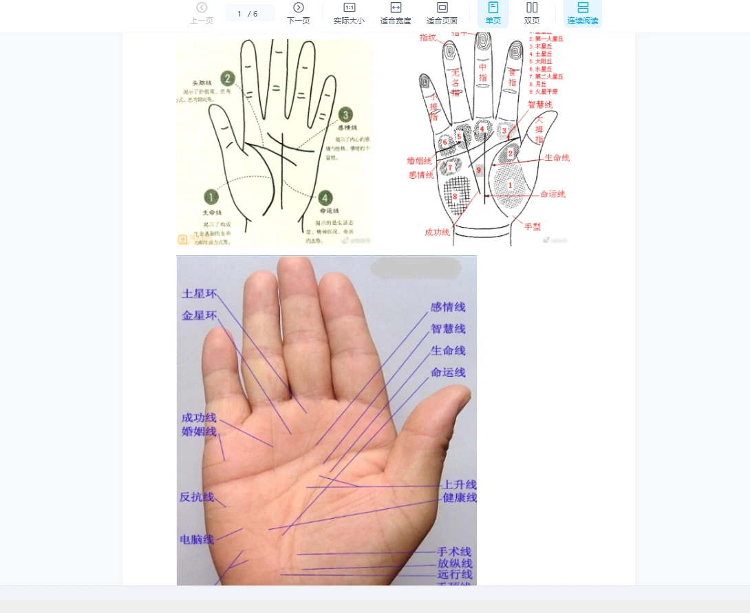 阳派手相讲义_易经玄学资料网