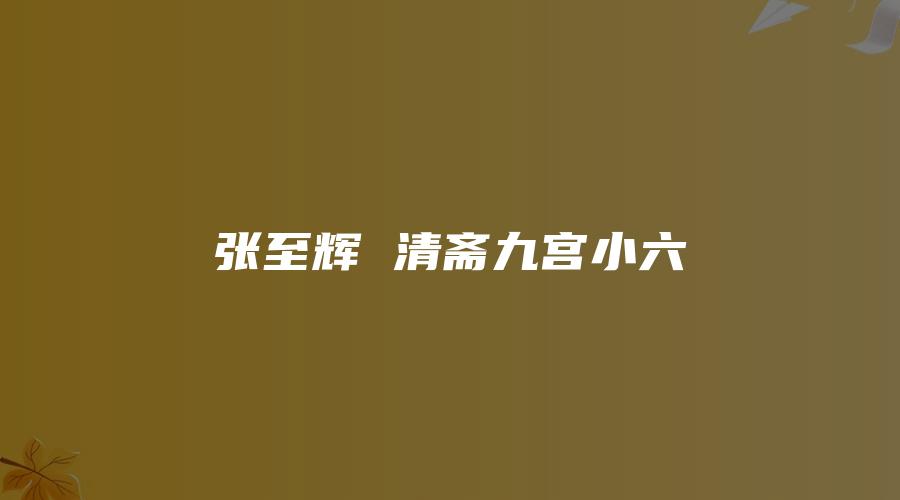 张至辉 清斋九宫小六