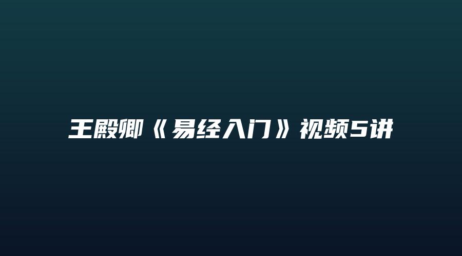 王殿卿《易经入门》视频5讲