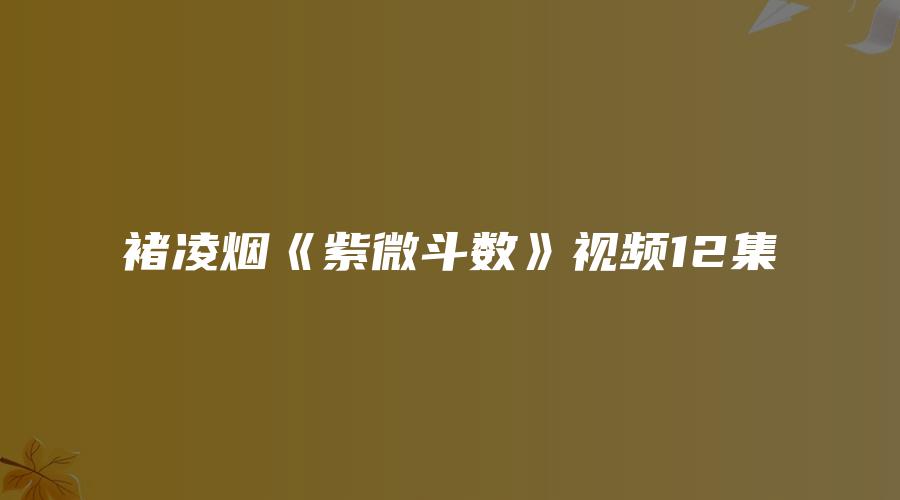 褚凌烟《紫微斗数》视频12集