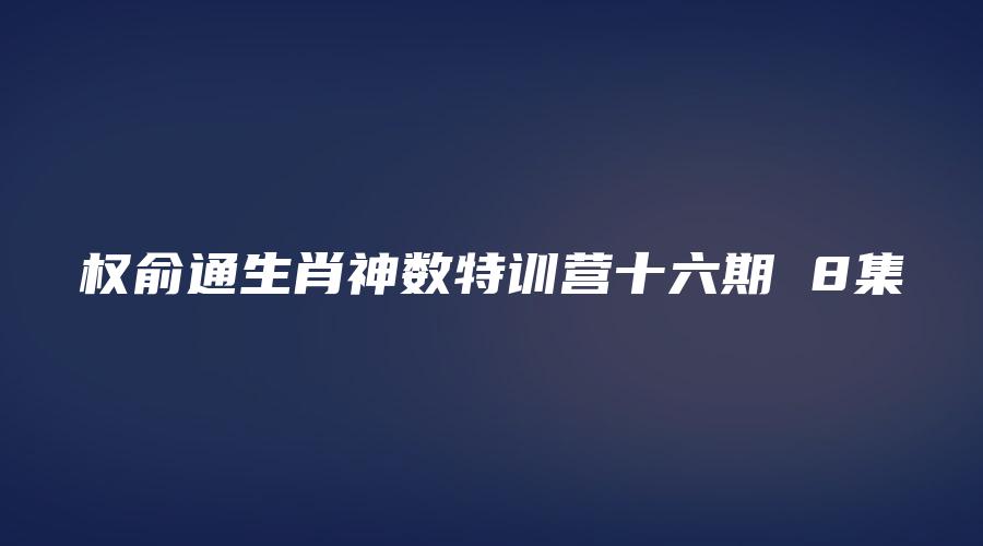 权俞通生肖神数特训营十六期 8集