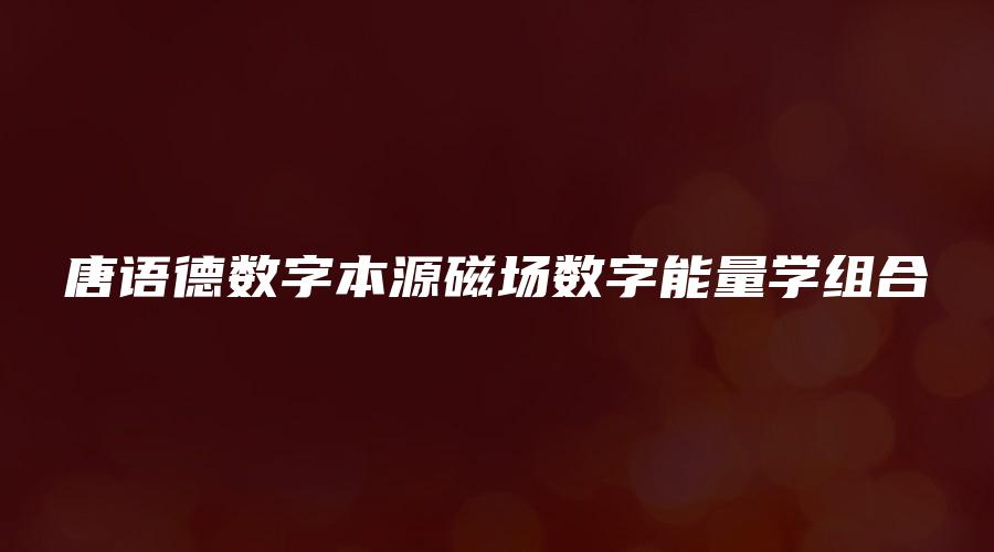 唐语德数字本源磁场数字能量学组合